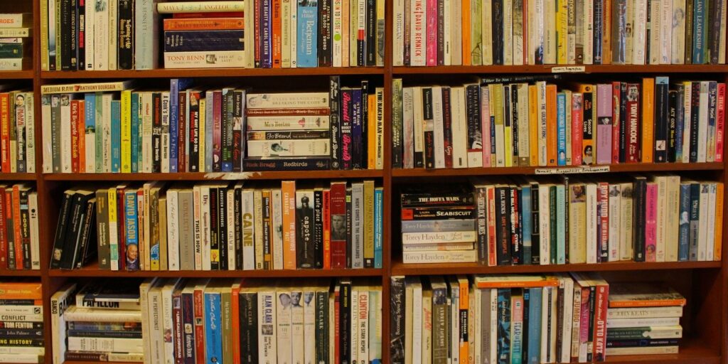 Shelves of books