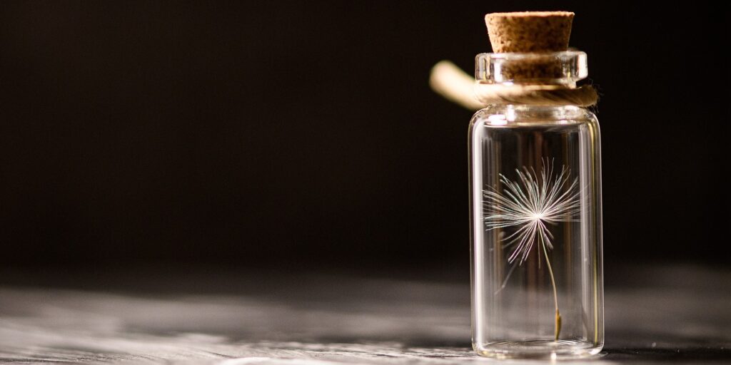 A dandelion seed, preserved in a  glass vial