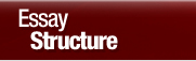 Essay Structure Link