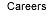 Careers Link