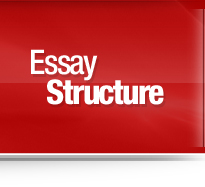 Essay Structure Link