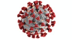 Image of Corona Virus