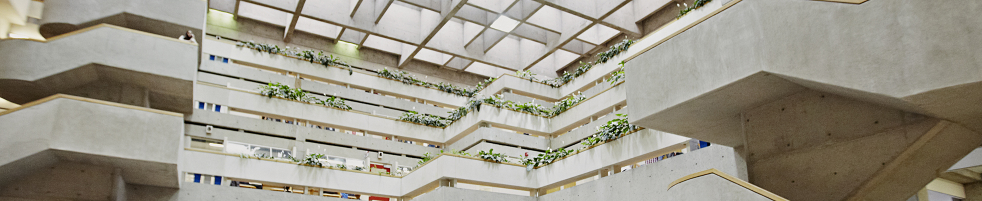Photo of the stairs and roof of the atrium in the Scott Library - used as a header image for the Open Scholarship website