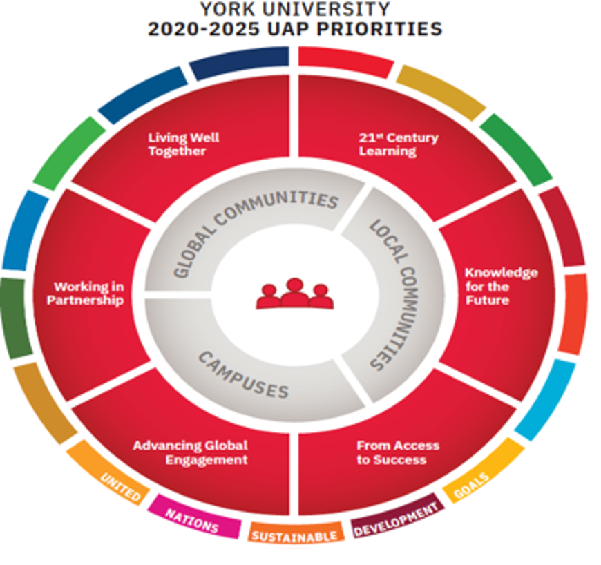 York Univeristy 2020-2025 UAP Priorities wheel chart