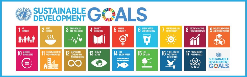 Decorative image: UN Sustainable Development Goals